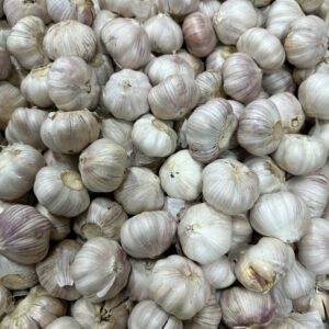 Garlic(500gm)